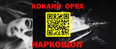 индика Анжеро-Судженск