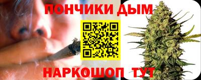 индика Анжеро-Судженск