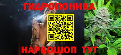 индика Ангарск