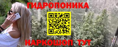 индика Ангарск