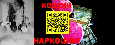 индика Анжеро-Судженск