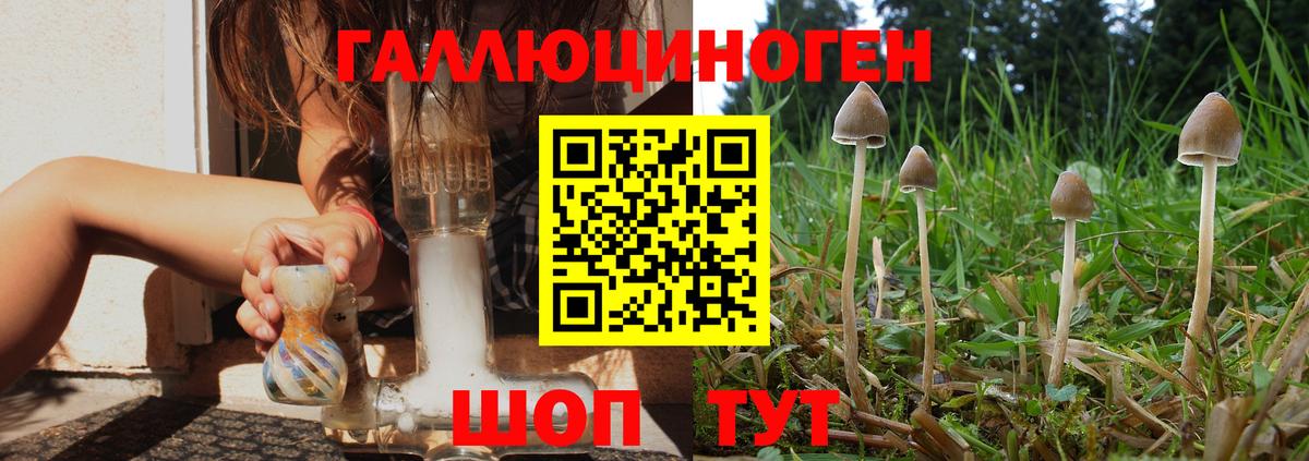 Галлюциногенные грибы ЛСД Белгород