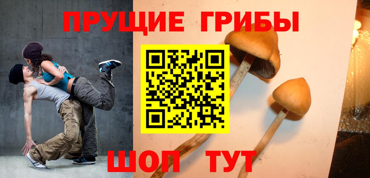 Галлюциногенные грибы Cubensis  Вход с VPN  Псилоцибиновые грибы Magic Shrooms  Белгород 